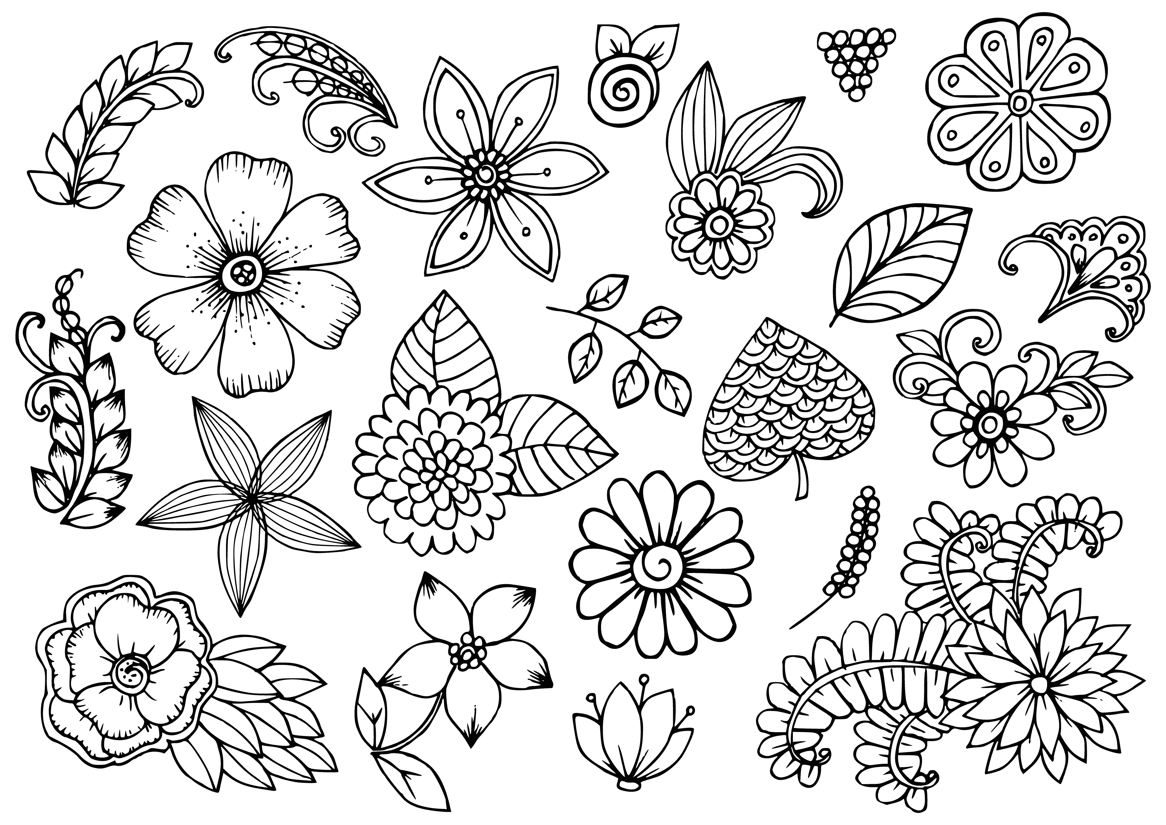 coloring page: Pretty coloring page with a mix of roses, daisies, tulips, and lilies in pink, yellow, purple, red, and orange.