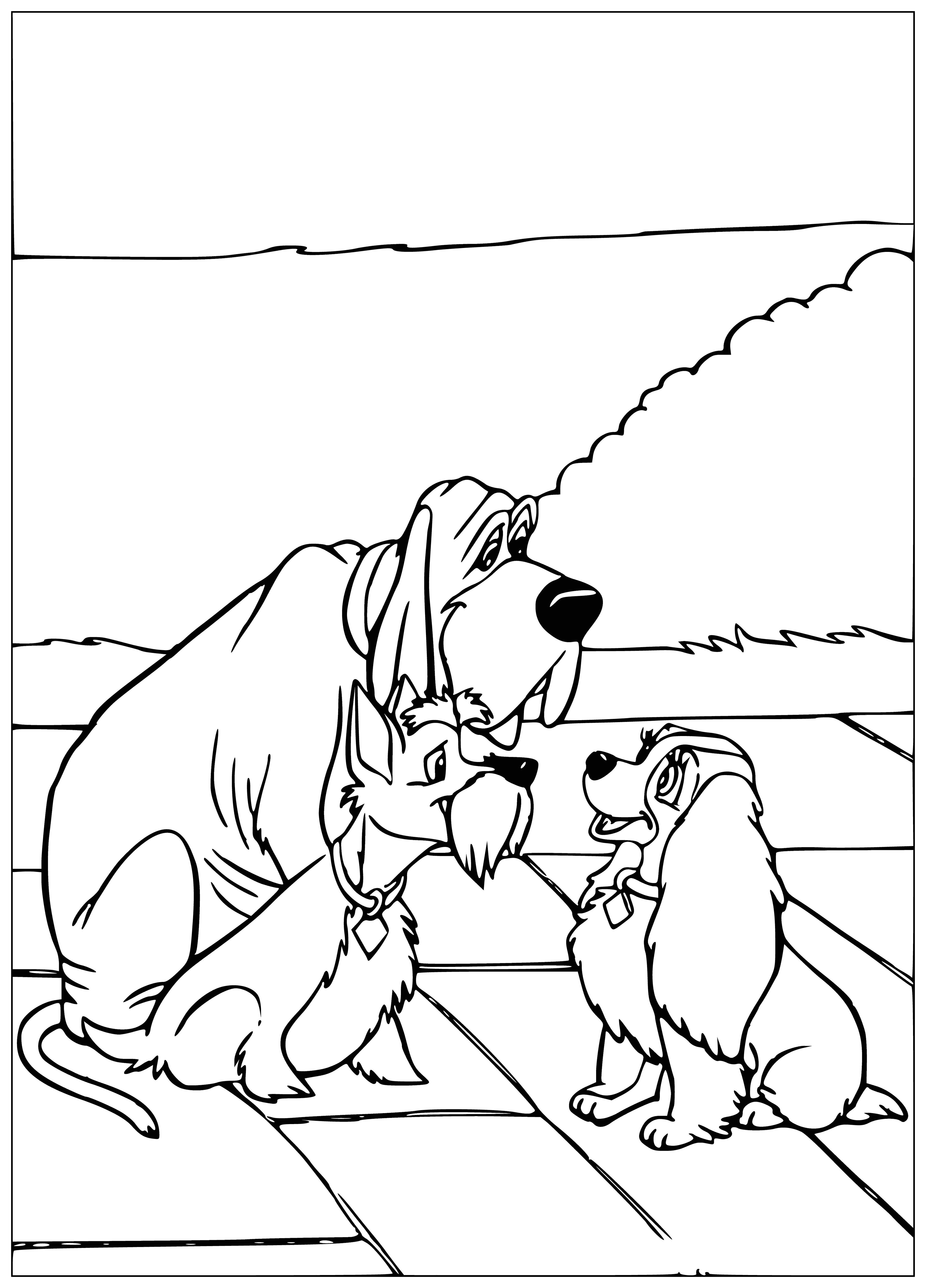 coloring page: Two dogs meet, a lady dog with a collar and a tramp dog with none, but there's a longing in the air.