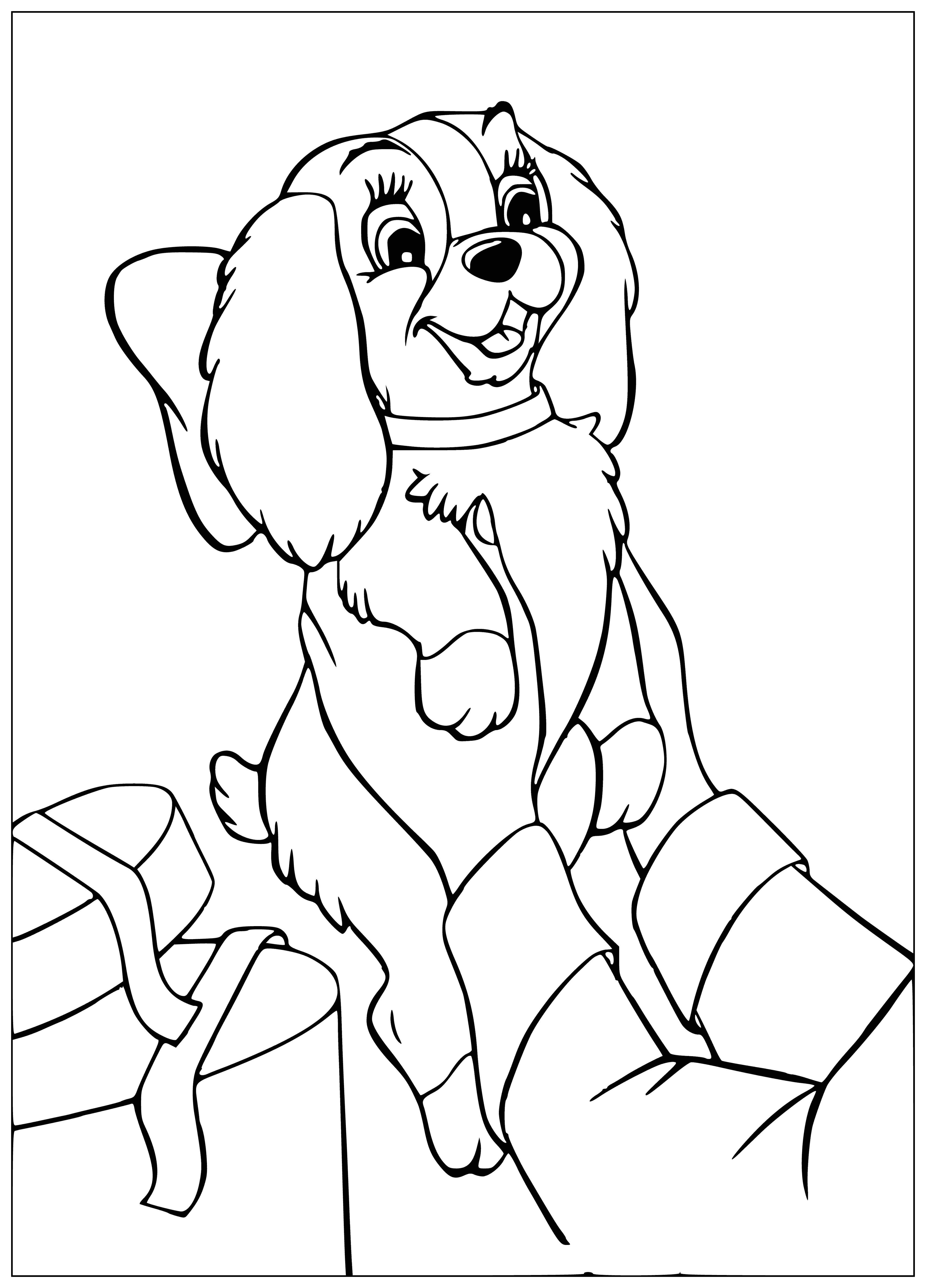 Puppy from a gift coloring page