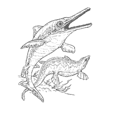 kolorowanka: Ichthyosaurus i Pliosaurus w środowisku morskim