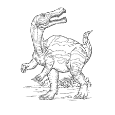 kolorowanka: Kolorowanie dinozaura z charakterystycznym wzorem na skórze