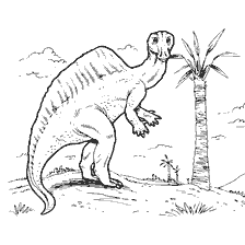 kolorowanka: Kolorowanie dinozaura Auranosaurus na palmie