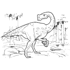 kolorowanka: Kolorowanki Dinozaur Kirostenot Pergracilis