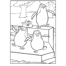 página para colorir: Colorir com pinguins de Madagascar