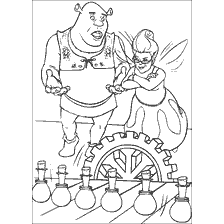 Shrek e la fata sul libro colorante