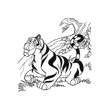 Tiger Jasmyn