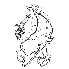 coloriage: Baleine et calmars dans l'Aquaecosystem
