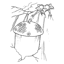 A saber-toothed squirrel looks at the acorn
