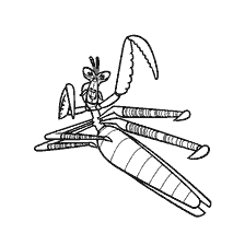 Master Mantis of Kung Fu Panda