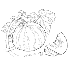 Citrouille pour colorier