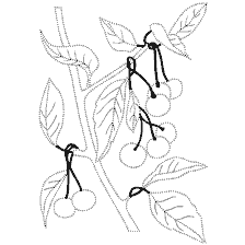 Cherry painting