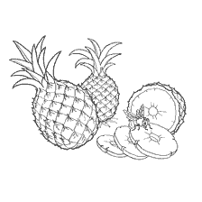 Coloring Fruit Pineapple