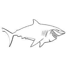 Shark Bruce van de cartoon Finding Nemo