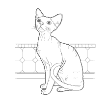 Devon Rex's beautiful cat coloring book