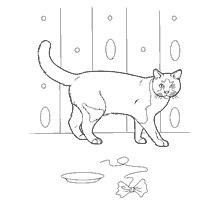 Gato doméstico