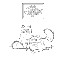 Gatos de ponto de cor