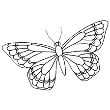 Malseite: Schwarz und weiß Schmetterling Färbung