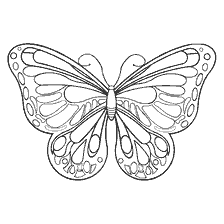 Malseite: Schwarz und weiß Färbung Schmetterling für Malerei