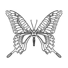 Malseite: Mahon Schmetterling zum Färben