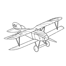 Picture of the plane Albatross D III 1916