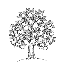 coloring page: Apple tree with fruits and leaves, made in black and white style for coloring.
