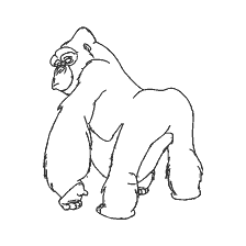 coloring page: Drawing of the gorilla Kerchak from the cartoon Tarzan
