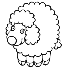 Colorir animais: ovelhas
