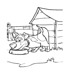 Een puppy eet uit een kom naast een kennel