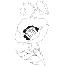 Coloring Mac Flowers