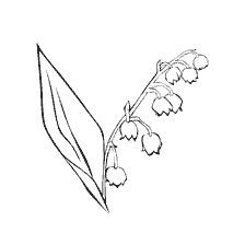 Färbung Landysh Blumen