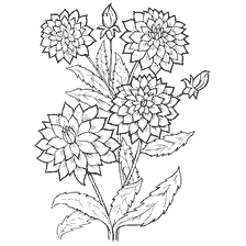 Flowers Georgin