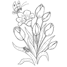 Coloring Tulip Flowers