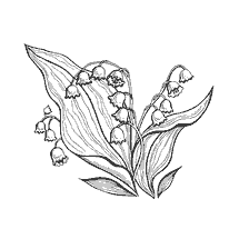 Landysh Blumen