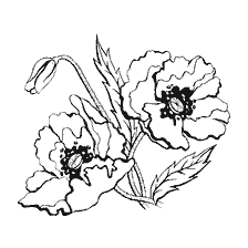 Mac flowers