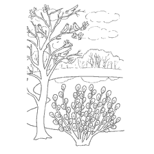 Färbung der Frühlingslandschaft mit Weiden und Bäumen