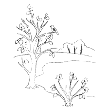 Frühling Färbung: Blätter blühen auf einem Baum und Blumen wachsen