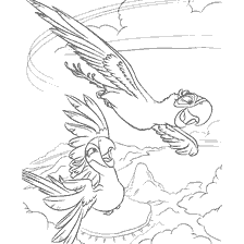Aves de Río en vuelo