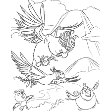 Gotcha, birdie! - Coloring from Rio