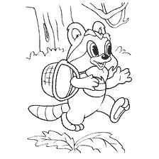 Baby Raccoon z plecakiem w tle lasu