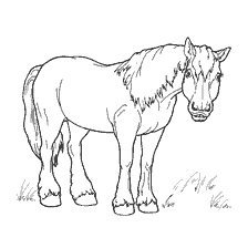 kolorowanka: Painting horse