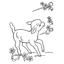 Tekening van een vrolijk schaap wandelen tussen bloemen