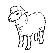 Schapensymbool van het jaar