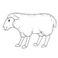 Teken een glimlachende schapen voor het kleuren