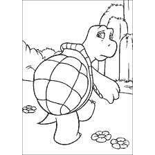 The turtle reptile from the Forest Bratva