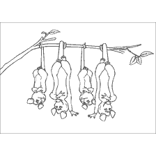 Opposums bir dalda asılı, karikatür Orman Bratva