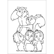 Skunk, squirrel and porcupines from the Forest Bratva