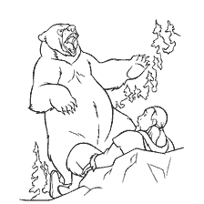 Bear attacks