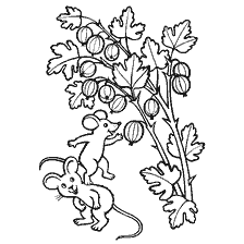 Deux souris et un buisson d'oie