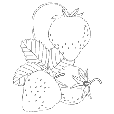 Fraises