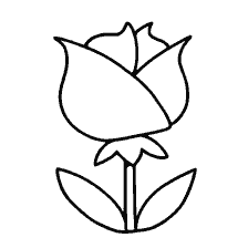 Rose'un renklenmesi için
